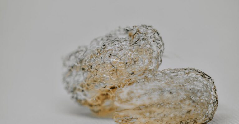 découvrez notre éponge naturelle en loofah, parfaite pour un gommage doux et un exfoliation efficace de votre peau. écologique et biodégradable, elle est idéale pour une routine de soin respectueuse de l'environnement. offrez à votre peau une expérience revitalisante et lumineuse avec notre loofah 100% naturelle.
