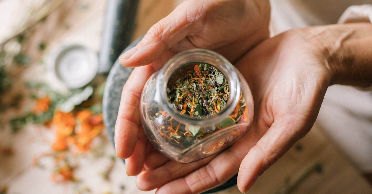 découvrez des remèdes naturels efficaces pour améliorer votre santé et votre bien-être. explorez des solutions ancestrales et des recettes maison pour apaiser les maux courants, renforcer votre système immunitaire et retrouver votre équilibre au quotidien.
