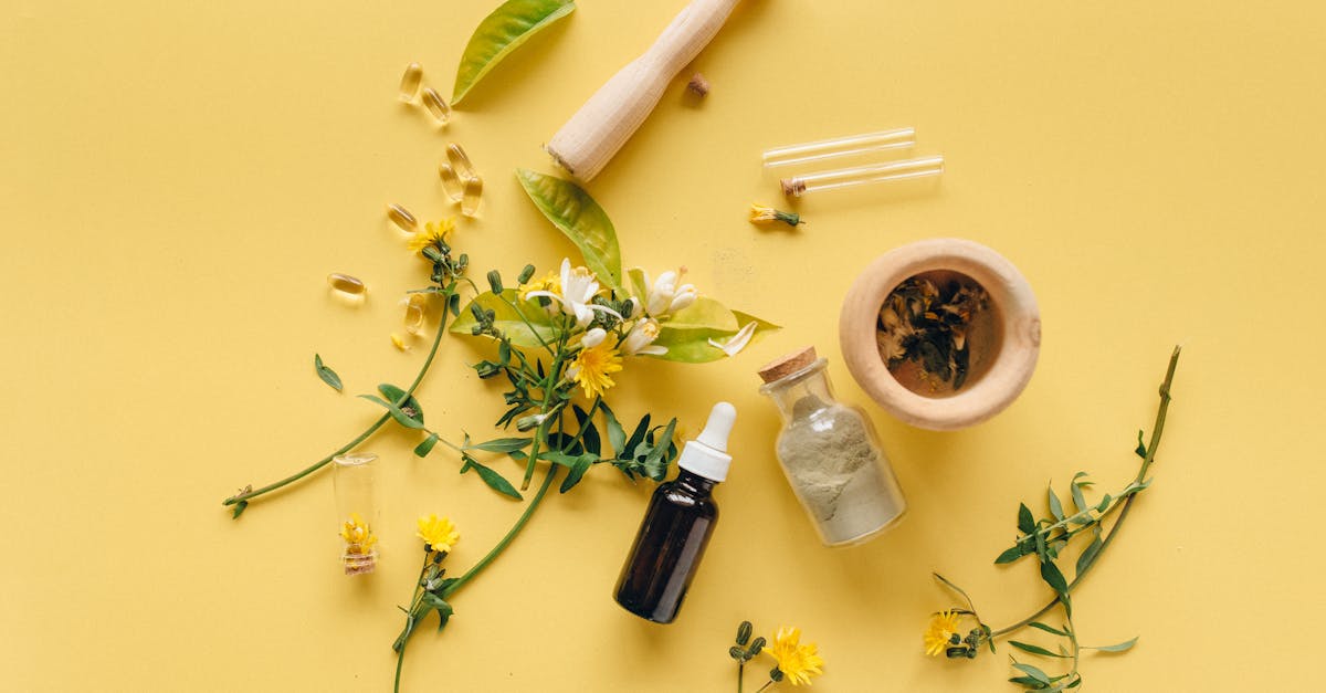 découvrez des remèdes naturels efficaces pour améliorer votre bien-être au quotidien. explorez des solutions holistiques à base de plantes, d'huiles essentielles et de techniques traditionnelles pour soulager divers maux et renforcer votre santé.