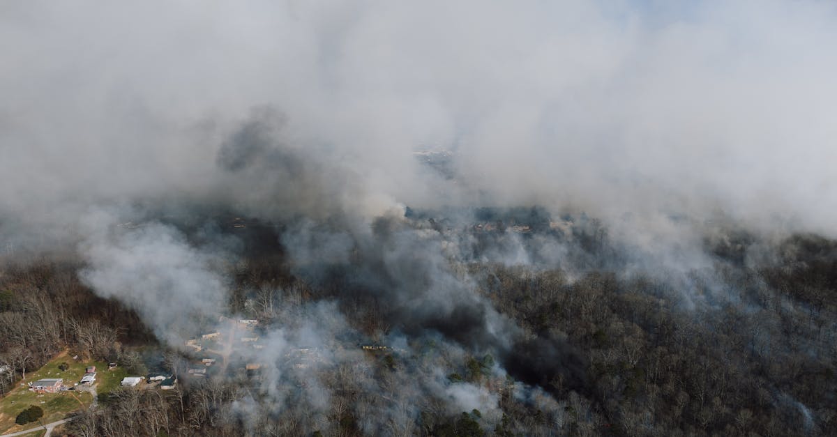 découvrez les impacts de la pollution sonore sur notre santé et notre environnement. apprenez comment réduire le bruit dans nos vies quotidiennes et promouvoir un cadre de vie plus serein.