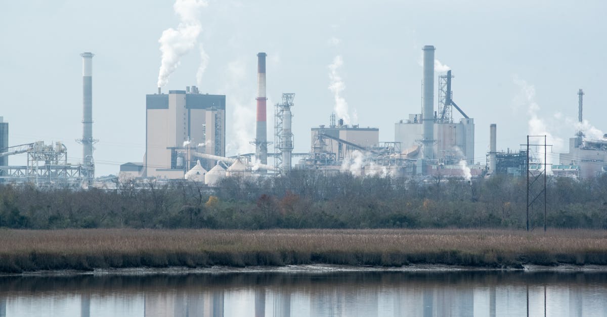 découvrez les effets de la pollution sonore sur la santé et l'environnement. apprenez comment réduire le bruit dans votre quotidien et contribuer à un monde plus calme et serein.