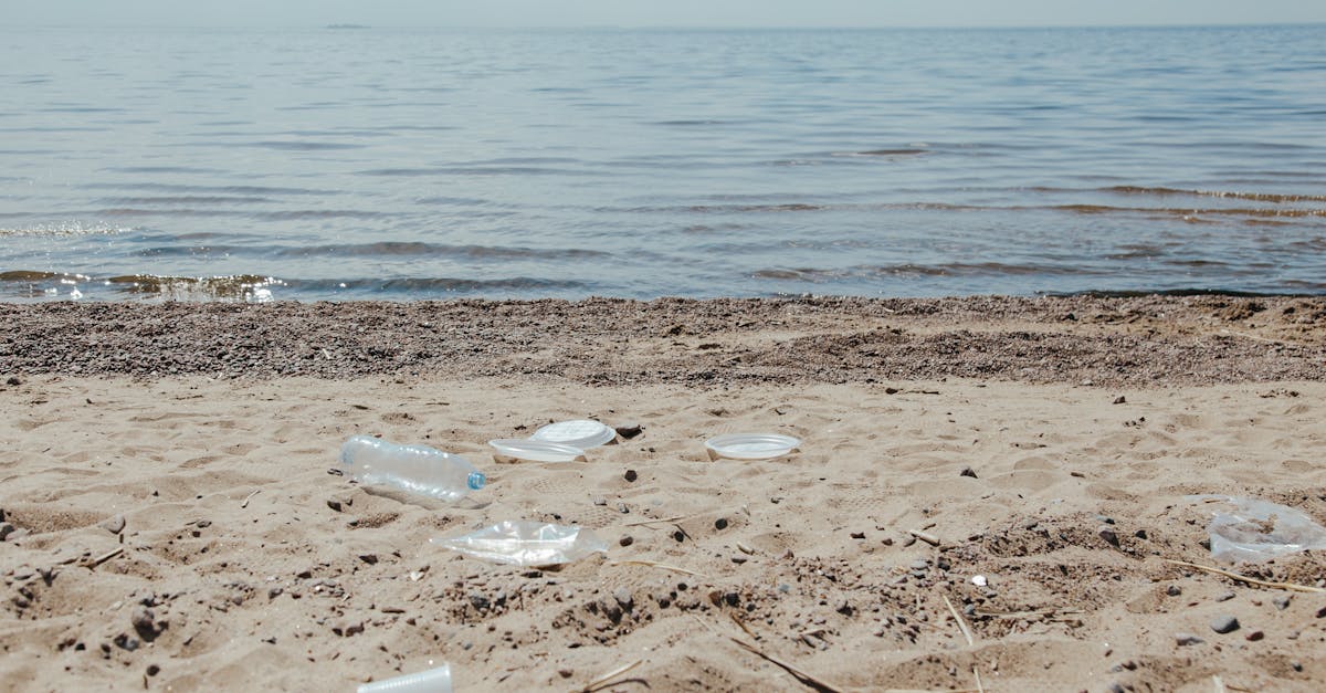 découvrez l'importance de la préservation des océans et comment nos actions peuvent protéger cet écosystème vital. rejoignez-nous dans notre quête pour maintenir la biodiversité marine et lutter contre la pollution des mers.