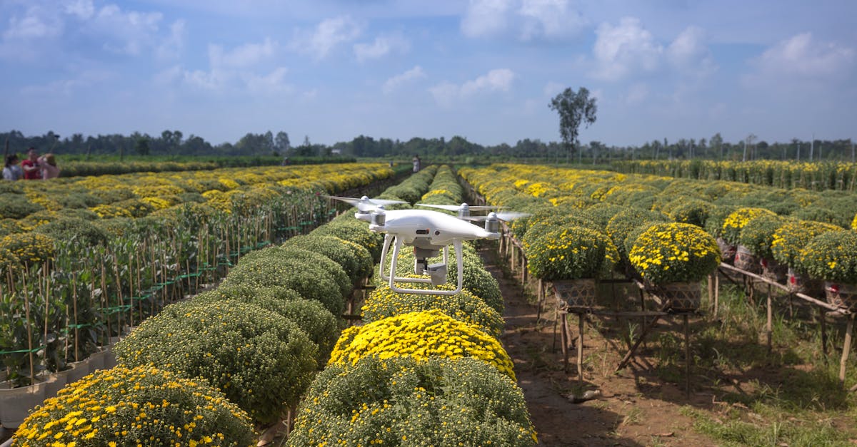 découvrez tout ce qu'il faut savoir sur les pesticides : définition, types, impacts sur l'environnement et la santé, ainsi que des alternatives durables pour une agriculture responsable.