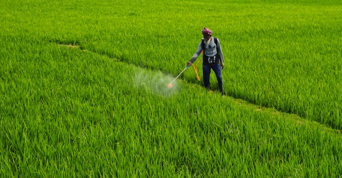 découvrez tout ce qu'il faut savoir sur les pesticides : leur utilisation, leurs effets sur l'environnement et la santé, ainsi que des alternatives durables pour une agriculture responsable.