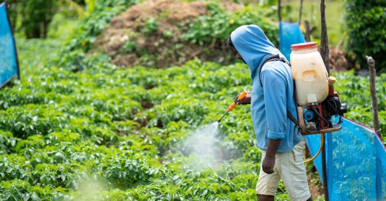 découvrez tout sur les pesticides : leur utilisation, leurs effets sur l'environnement et la santé, ainsi que des alternatives écologiques pour une agriculture durable.
