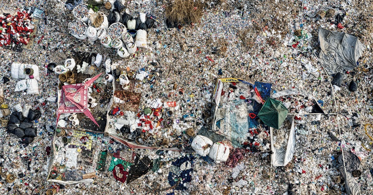 découvrez les enjeux de la pollution plastique, ses impacts sur l'environnement et la santé, ainsi que des solutions innovantes pour réduire cette menace mondiale. engagez-vous pour un avenir durable.