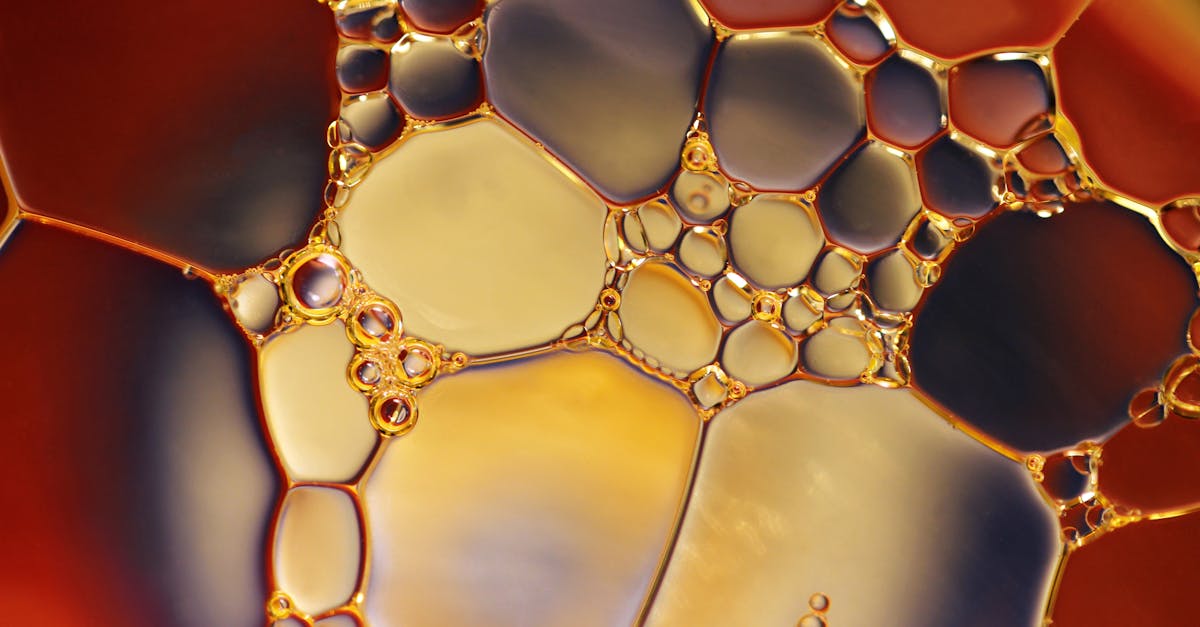 découvrez les bienfaits de l'huile de prune, un trésor de la nature riche en antioxydants et acides gras essentiels. idéale pour nourrir et hydrater votre peau, elle convient à tous les types de peau et apporte éclat et douceur. apprenez à l'utiliser dans votre routine beauté et profitez de ses vertus revitalisantes.