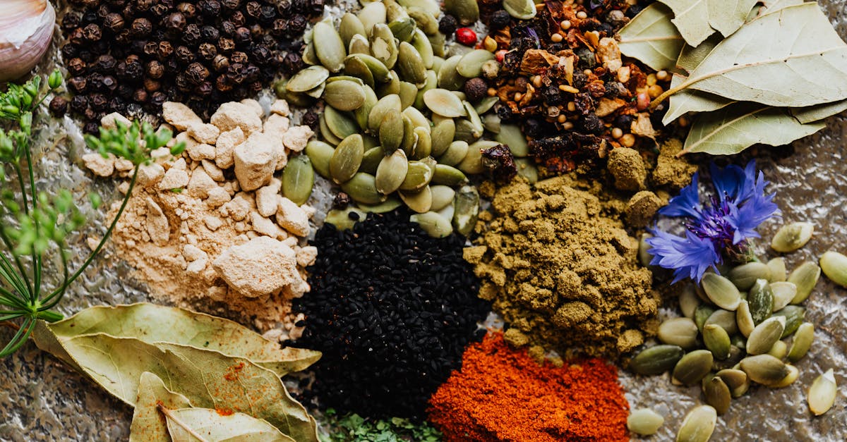 découvrez les bienfaits incroyables des graines de citrouille, riches en nutriments essentiels et parfaites pour une alimentation saine. apprenez à les intégrer dans vos recettes gourmandes tout en profitant de leurs propriétés bénéfiques pour la santé.