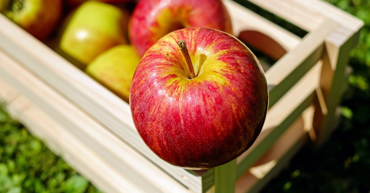 découvrez la délicieuse recette de tartelettes de pommes crues, un dessert sain et savoureux qui met en valeur la fraîcheur des pommes. idéal pour impressionner vos invités avec une touche fruitée et originale, ces tartelettes sont parfaites pour toutes les occasions.