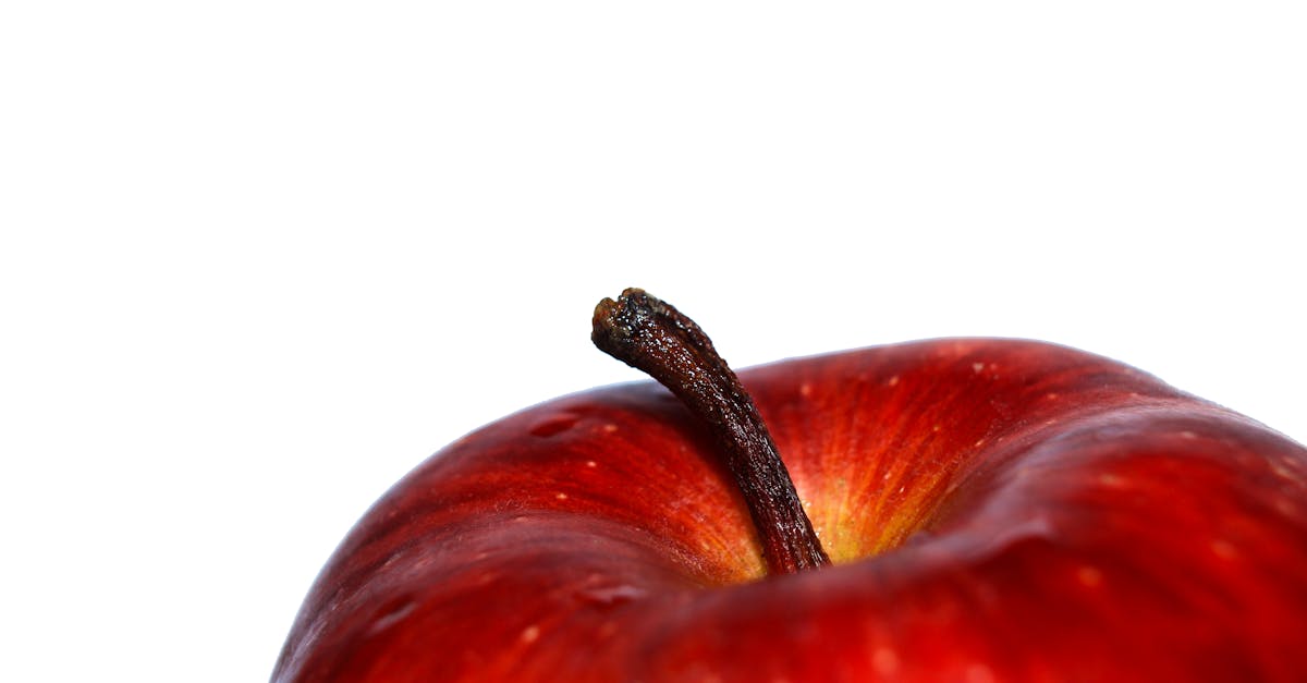 découvrez notre délicieuse recette de tartelettes de pommes crues, alliant croquant et fraîcheur. parfaites pour un dessert léger et sain, ces tartelettes séduiront les amateurs de fruits et de gastronomie naturelle. idéales pour impressionner vos invités lors d'un dîner ou pour un moment de gourmandise. essayez-les dès aujourd'hui!