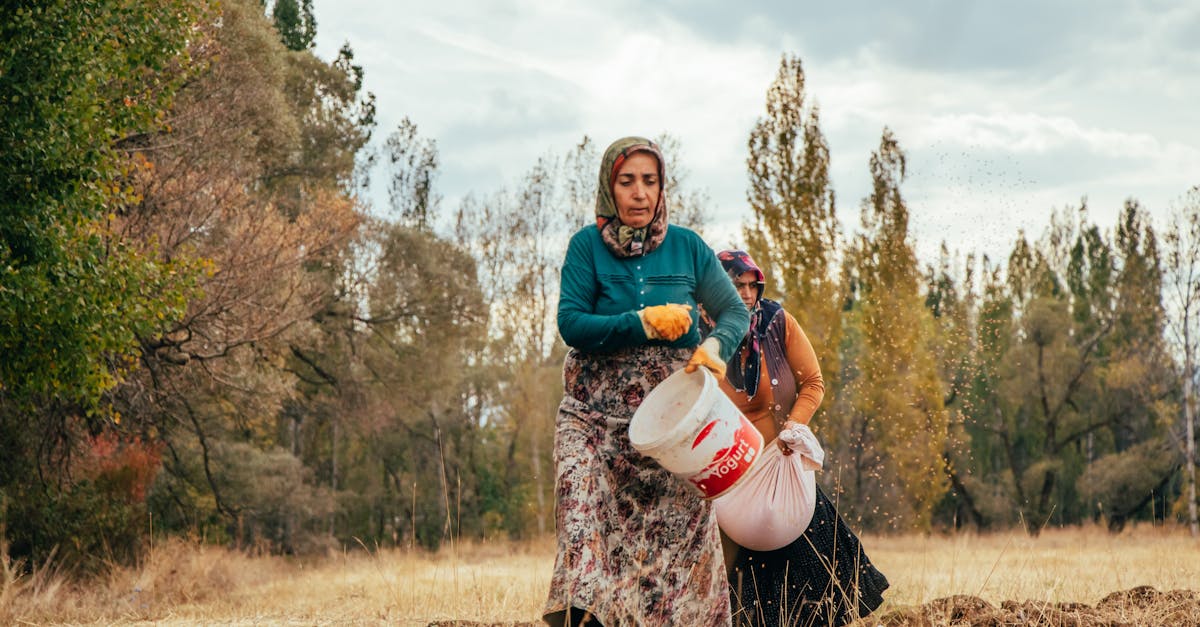 découvrez les seed guns, des outils innovants pour le semis de graines, facilitant la plantation et garantissant une distribution uniforme. idéaux pour les jardiniers amateurs et professionnels, ils allient efficacité et praticité pour un jardinage réussi.