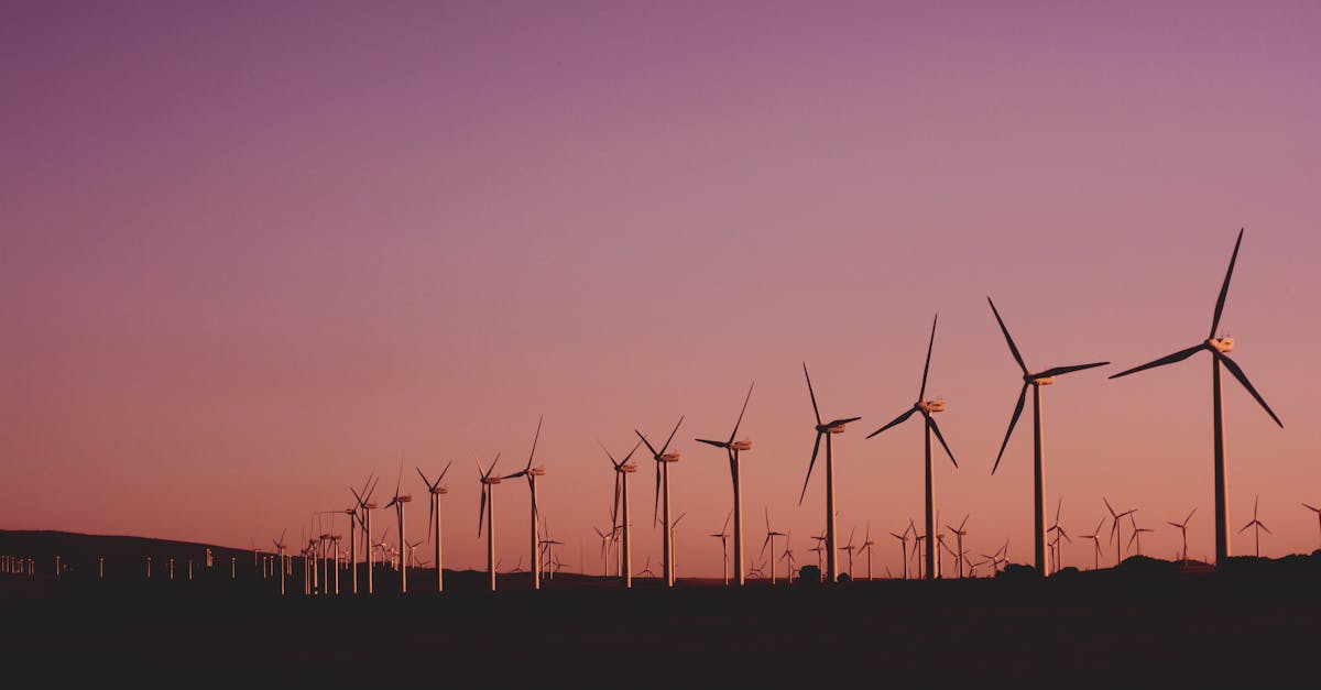 découvrez des pratiques durables pour un avenir meilleur. apprenez à réduire votre empreinte écologique, à adopter un mode de vie écoresponsable et à contribuer à la préservation de notre planète.