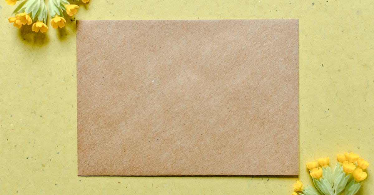 découvrez notre sélection de fleurs durables, cultivées dans le respect de l'environnement. optez pour des bouquets éthiques et responsables qui embellissent votre quotidien tout en préservant la planète.