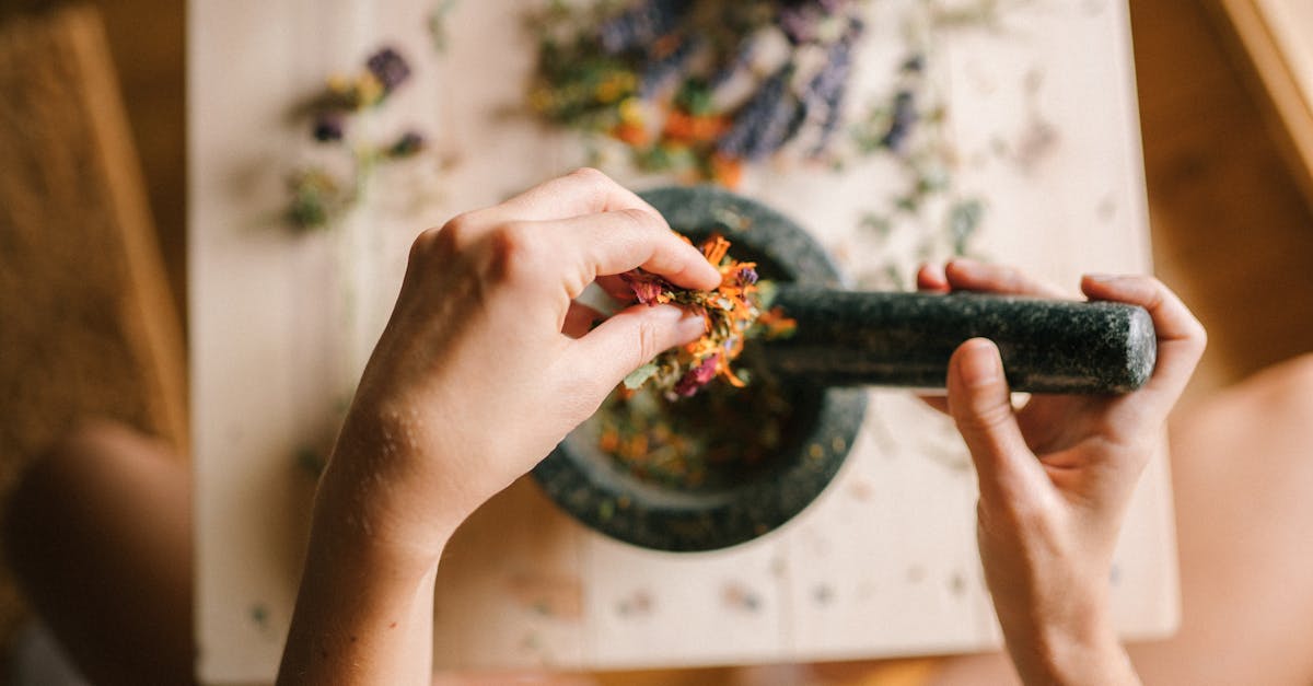 découvrez nos fleurs durables, un choix éco-responsable pour embellir vos espaces tout en préservant l'environnement. optez pour des arrangements floraux qui allient beauté et respect de la nature.