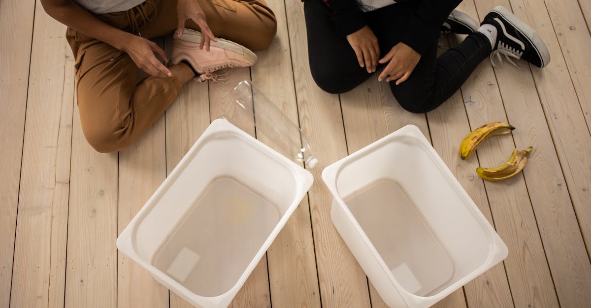 découvrez comment adopter des habitudes durables au quotidien pour réduire votre impact environnemental et contribuer à la préservation de notre planète. inspirez-vous de conseils pratiques et d'idées simples pour vivre de manière plus éthique et responsable.