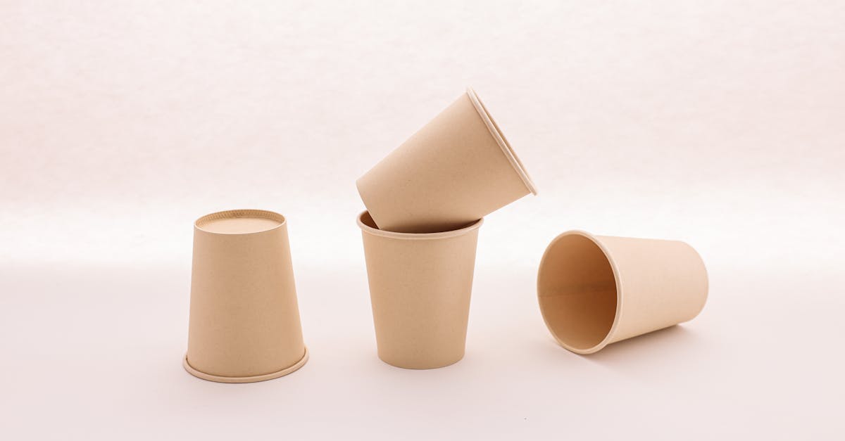 découvrez des habitudes durables pour un mode de vie plus respectueux de l'environnement. apprenez comment de petits changements quotidiens peuvent avoir un impact positif sur notre planète tout en améliorant votre qualité de vie.