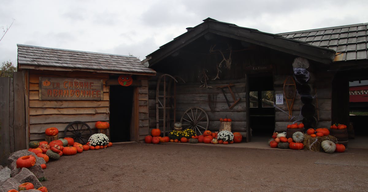 découvrez comment célébrer un halloween durable avec des astuces écoresponsables, des décorations recyclées et des costumes écologiques. profitez de cette fête tout en respectant notre planète !
