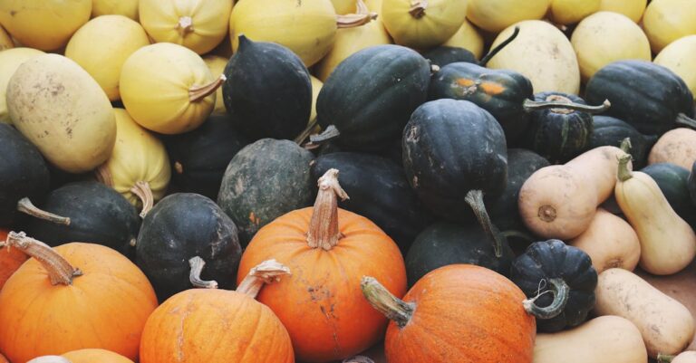 découvrez des astuces et des idées inspirantes pour célébrer un halloween durable. optez pour des décorations écologiques, des costumes recyclés et des bonbons éthiques pour réduire votre impact environnemental tout en passant un moment amusant et créatif.