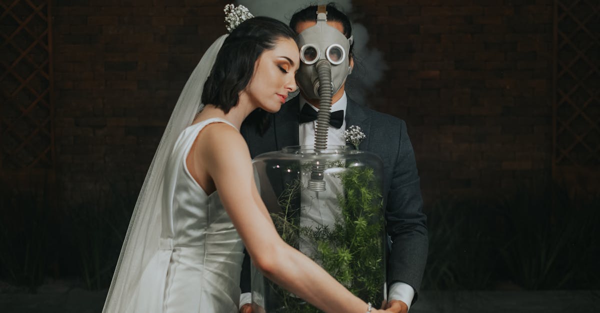 découvrez comment organiser un mariage durable et écoresponsable, alliant amour et respect de l'environnement. inspirez-vous de nos conseils pour choisir des décorations, des lieux et des tenues éthiques qui feront de votre mariage un événement unique et respectueux de la planète.