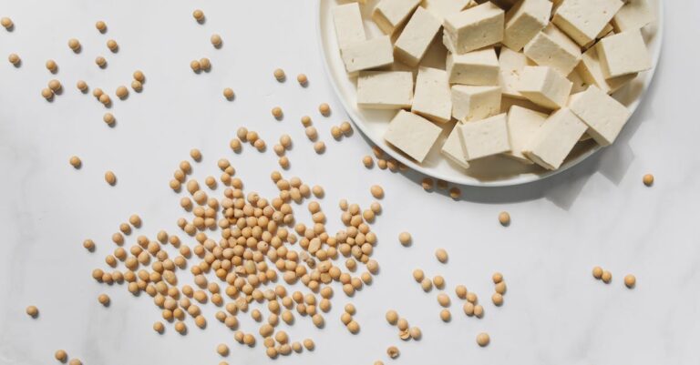 découvrez le tofu, source de protéines végétales polyvalente et délicieuse. apprenez-en plus sur ses bienfaits nutritionnels, ses différentes préparations en cuisine et comment intégrer ce super-aliment dans vos plats quotidiens.