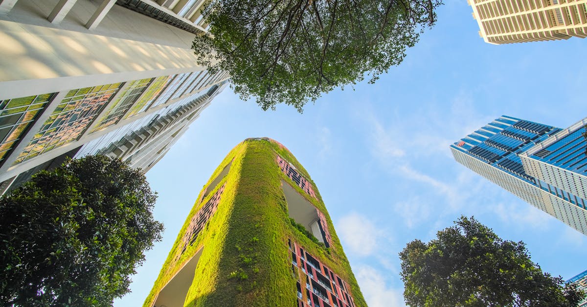 découvrez l'urban greening, une approche innovante pour revitaliser nos villes avec des espaces verts. apprenez comment cette pratique améliore la qualité de vie, favorise la biodiversité et lutte contre le changement climatique en intégrant la nature au cœur de l'urbanisme.