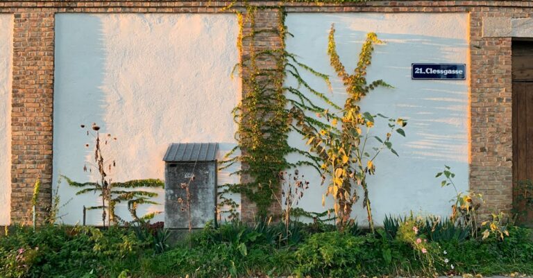 découvrez comment l'urban greening transforme nos villes en espaces verts durables, améliorant la qualité de l'air, favorisant la biodiversité et créant des environnements urbains plus agréables pour tous.