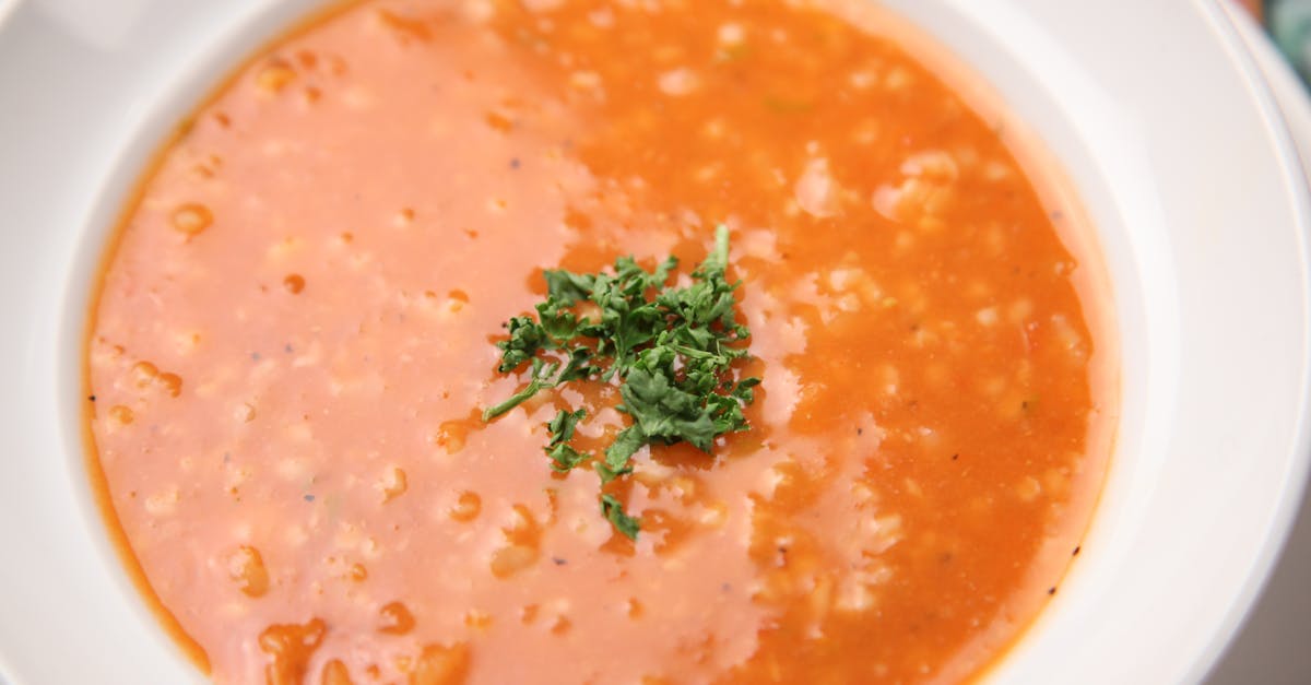 découvrez des recettes zéro déchet délicieuses et simples à préparer, qui vous aideront à réduire le gaspillage alimentaire tout en savourant des plats sains et créatifs. transformez vos ingrédients en créations culinaires, tout en préservant notre planète.