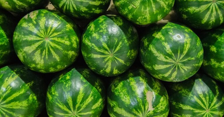 découvrez les bienfaits surprenants de la peau de pastèque ! apprenez comment utiliser cette partie souvent jetée dans des recettes savoureuses, des astuces de conservation et des idées de bricolage. ne sous-estimez pas la peau de pastèque, elle pourrait bien devenir votre nouvel ingrédient favori !