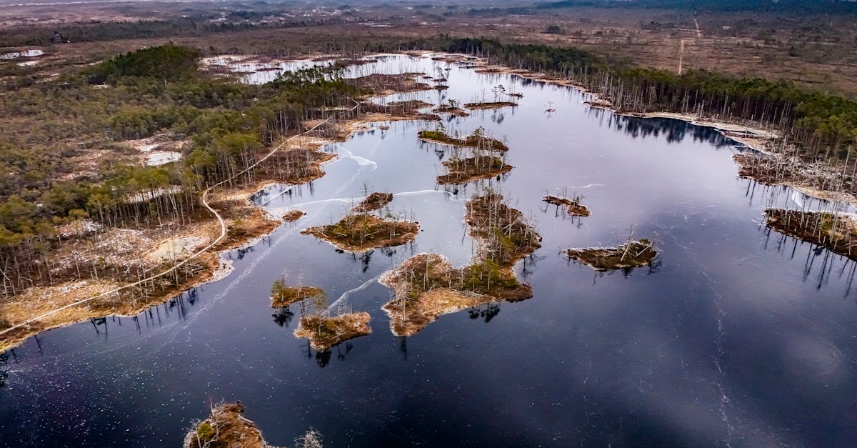 découvrez l'importance des zones humides pour la biodiversité, la régulation climatique et les écosystèmes. apprenez comment ces milieux uniques protègent nos ressources naturelles et contribuent à la préservation de notre planète.