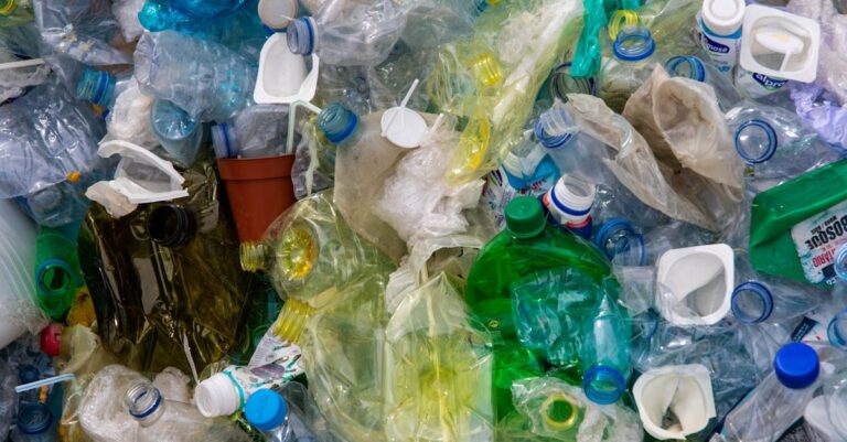 découvrez le mouvement zero waste, une approche durable qui vise à réduire les déchets au quotidien. apprenez des astuces pratiques pour adopter un mode de vie éco-responsable, minimiser votre impact environnemental et contribuer à la préservation de notre planète. rejoignez la révolution verte dès aujourd'hui !