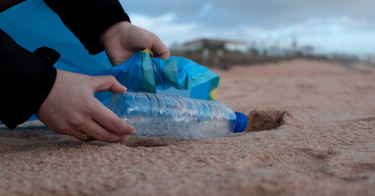 découvrez le mouvement zéro déchet et apprenez à adopter un mode de vie durable en réduisant vos déchets au quotidien. trouvez des astuces pratiques, des produits responsables et des conseils pour un environnement plus sain.