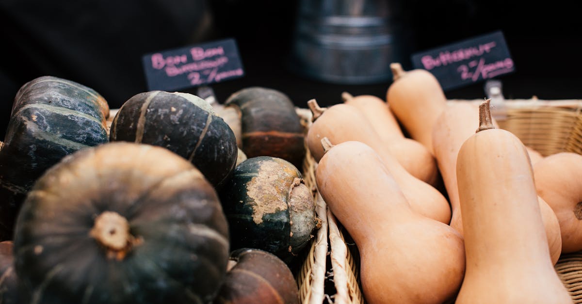 découvrez l'univers du zéro déchet avec nos conseils pratiques pour un shopping éco-responsable. apprenez à réduire vos déchets tout en consommant de manière intelligente et durable. rejoignez le mouvement pour préserver notre planète !