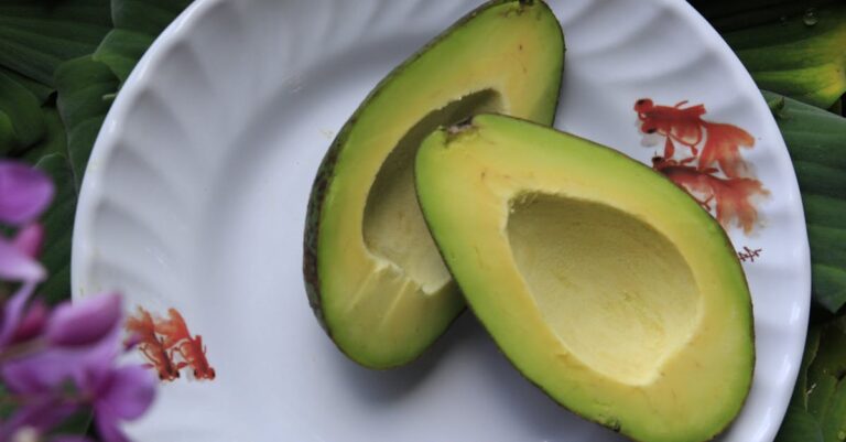 découvrez les bienfaits de l'avocat, ce fruit riche en nutriments, parfait pour vos recettes santé. apprenez comment l'intégrer dans votre alimentation quotidienne pour profiter de ses vertus délicieuses et nourrissantes.