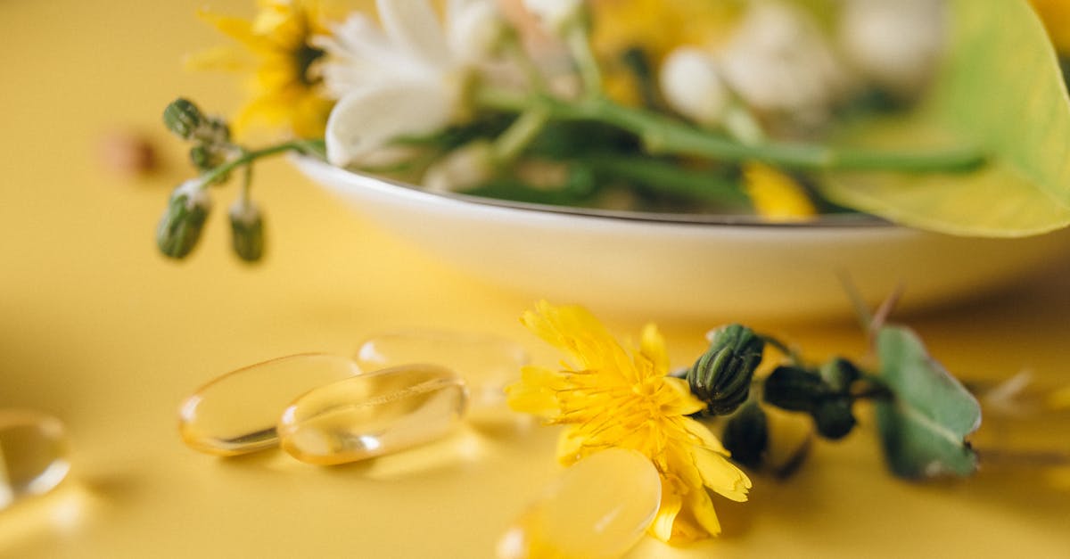 découvrez des alternatives saines et savoureuses pour améliorer votre alimentation. profitez de recettes et de conseils pour une vie plus équilibrée et pleine d'énergie.