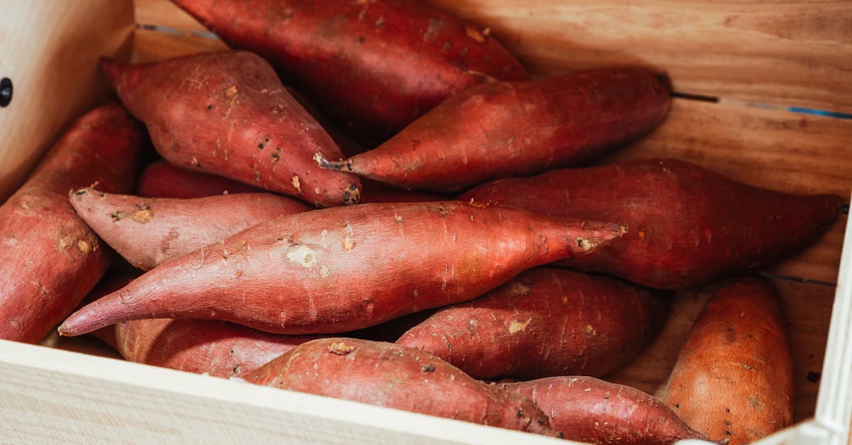découvrez les bienfaits des produits de saison, alliant fraîcheur et saveur. apprenez à choisir les meilleurs fruits et légumes selon les saisons pour une alimentation saine et équilibrée.