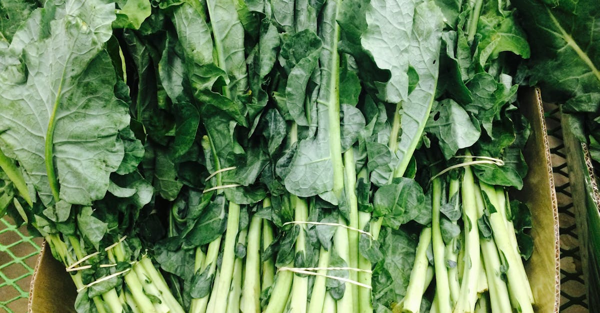 découvrez la richesse des produits de saison : fruits et légumes frais, cultivés localement et savoureux, qui apportent des bienfaits pour la santé et soutiennent l'agriculture durable. adoptez une alimentation responsable en saison!