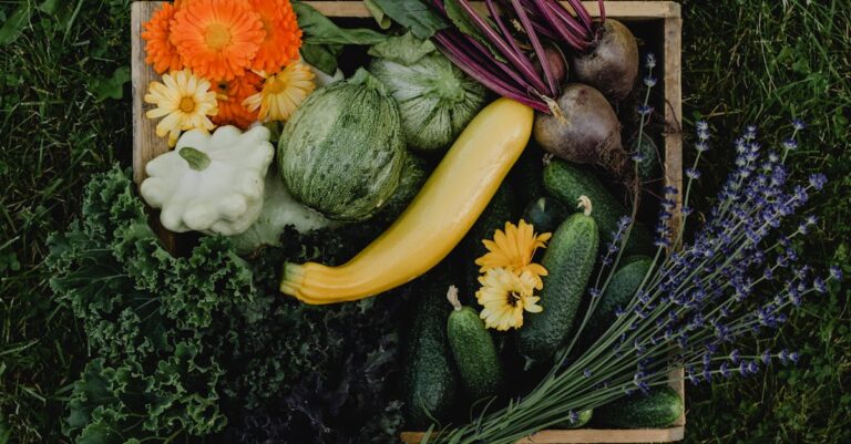 découvrez les bienfaits des fruits et légumes de saison. apprenez comment les intégrer dans votre alimentation pour profiter de saveurs optimales et soutenir l'agriculture locale. explorez les recettes et astuces pour savourer chaque saison dans votre assiette.