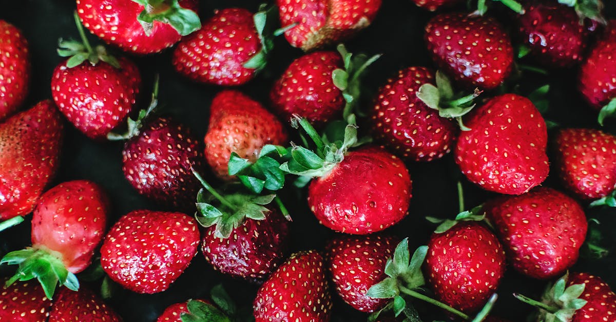 découvrez le monde savoureux des fraises : recettes délicieuses, bienfaits pour la santé et astuces pour choisir les meilleures variétés. plongez dans la douceur de ce fruit d'été et apprenez à l'intégrer dans votre cuisine au quotidien.