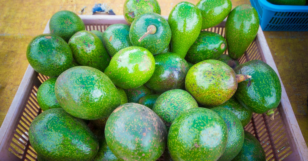 découvrez les bienfaits de l'avocat, ce super-aliment riche en nutriments. apprenez à l'intégrer dans vos repas avec des recettes savoureuses et saines, et explorez ses vertus pour la santé et la beauté.