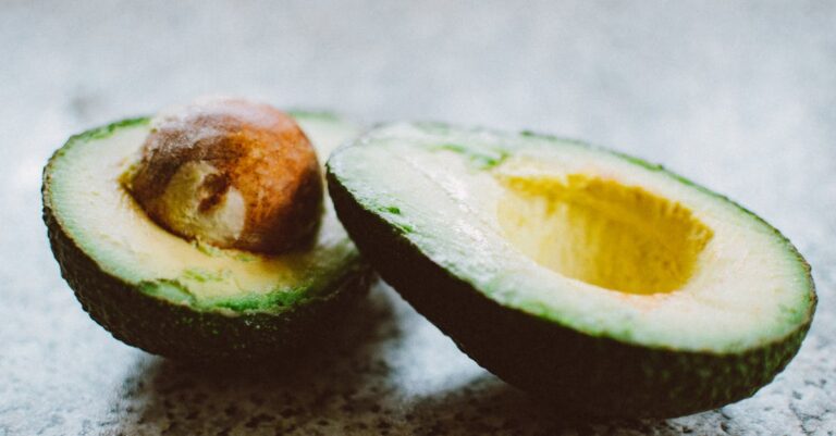 découvrez les bienfaits de l'avocat, un fruit riche en nutriments et en graisses saines. apprenez à l'intégrer dans vos recettes et à profiter de ses propriétés pour une alimentation équilibrée.