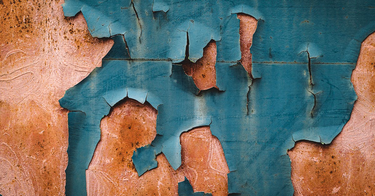 découvrez tout sur le liseron, cette plante grimpante aux fleurs délicates. apprenez ses caractéristiques, ses habitudes de croissance et les méthodes pour gérer son invasivité dans votre jardin.