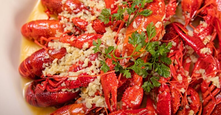 découvrez toutes les techniques et astuces pour maîtriser l'art de l'ébullition. que ce soit pour cuire des légumes, préparer des pâtes ou stériliser des conserves, apprenez à faire mijoter vos plats à la perfection avec nos conseils pratiques et recettes savoureuses.