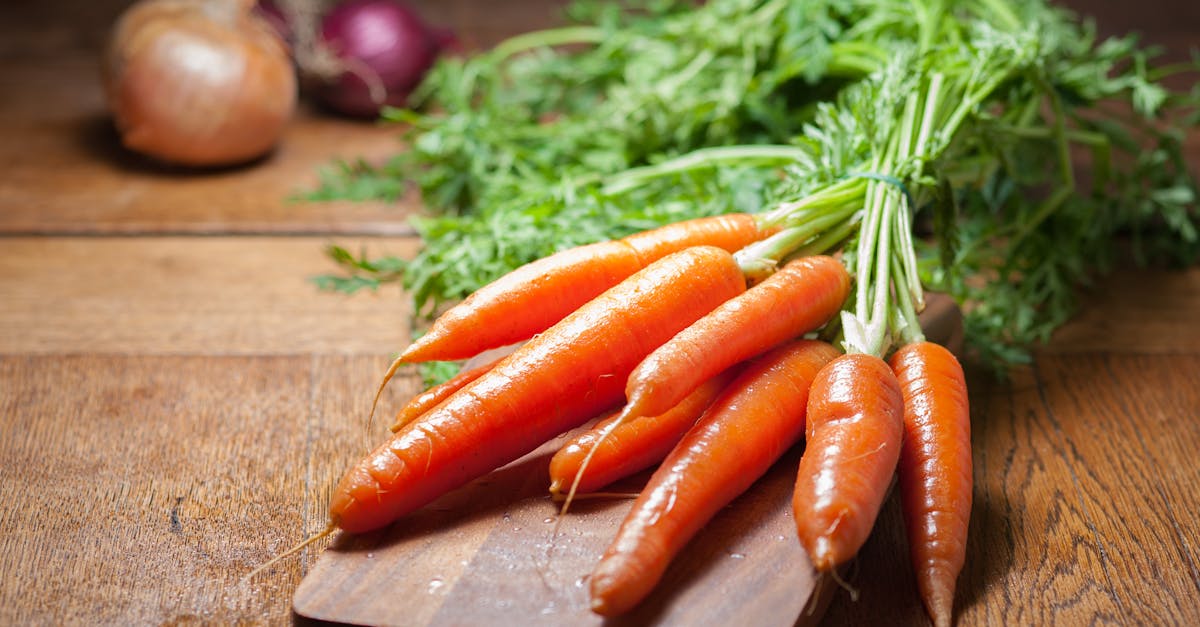 découvrez les bienfaits et les différentes façons de déguster les carottes, un aliment polyvalent et nutritif. explorez des recettes savoureuses, des conseils de préparation et des informations sur les variétés de carottes pour enrichir votre alimentation.