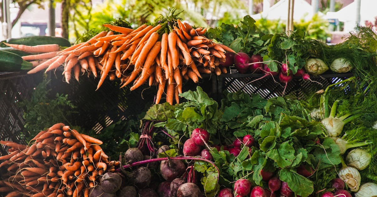 découvrez tout sur les carottes : leurs bienfaits pour la santé, des recettes savoureuses et des conseils de culture. apprenez à intégrer ce légume croquant dans votre alimentation quotidienne pour profiter de ses nombreuses vertus.