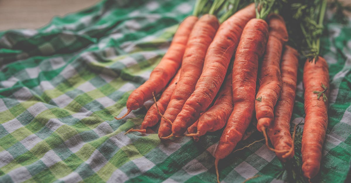 découvrez tout sur les carottes, ce légume crucial pour une alimentation saine. apprenez sur ses bienfaits nutritionnels, ses variétés, des conseils de culture, ainsi que des recettes délicieuses pour les intégrer facilement dans vos repas.
