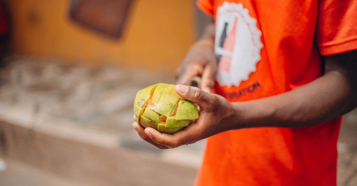 découvrez les étapes essentielles pour éplucher les châtaignes facilement et rapidement. apprenez des techniques pratiques pour profiter pleinement de ce fruit de saison, idéal pour vos recettes automnales.