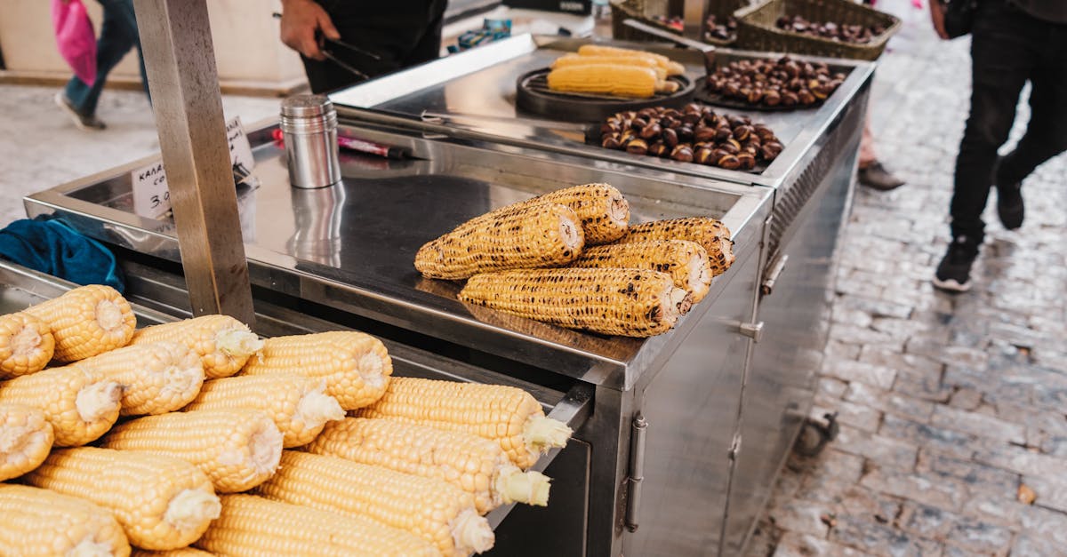 découvrez tout sur les châtaignes : leurs bienfaits nutritionnels, des astuces de cuisson, et des délicieuses recettes pour les apprécier à chaque saison.