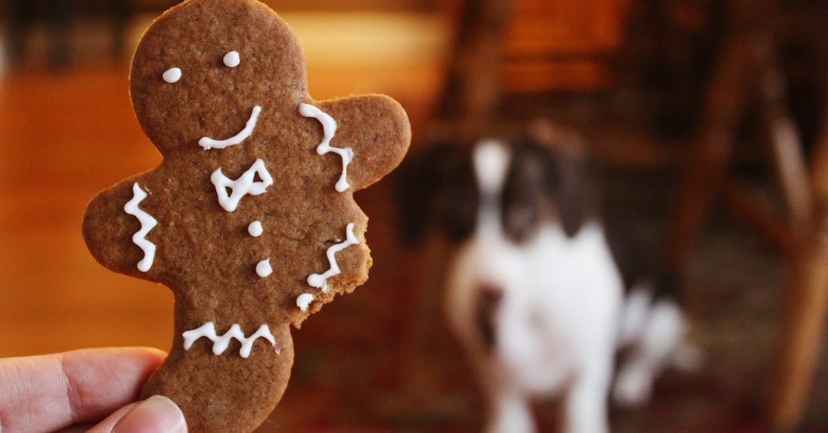 découvrez des idées délicieuses d'apéritifs de noël pour émerveiller vos invités lors des fêtes. recevez des recettes festives et créatives qui rendront votre table encore plus savoureuse!