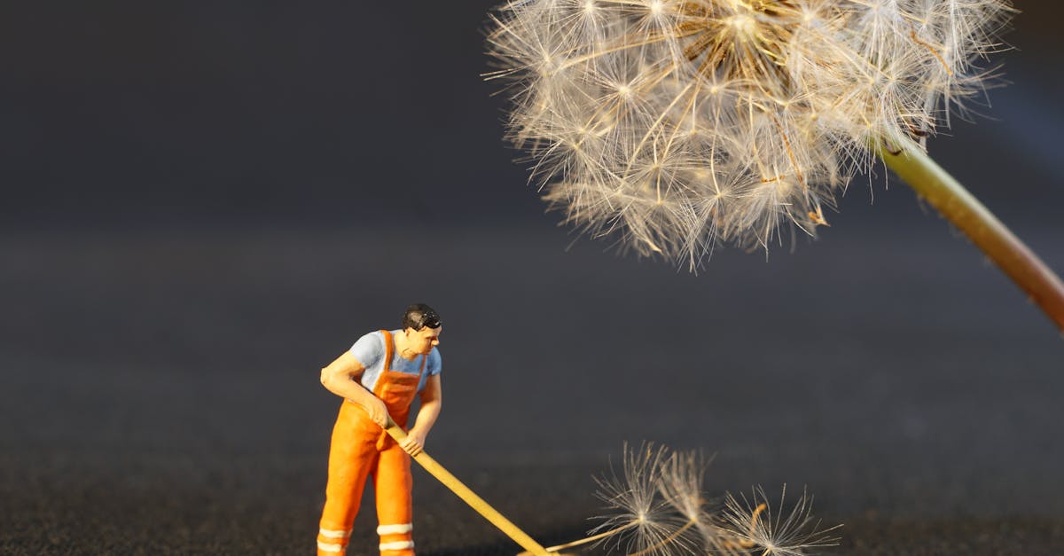 découvrez nos services de nettoyage professionnels pour un environnement sain et impeccable. que ce soit pour votre domicile ou votre bureau, nous vous garantissons une propreté irréprochable et un service de qualité adapté à vos besoins.
