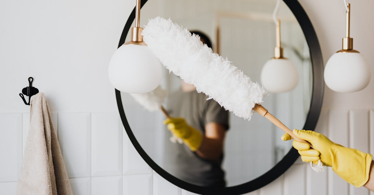 découvrez nos astuces et conseils pour un nettoyage efficace et écologique de votre maison. optimisez votre espace avec des techniques simples et des produits naturels pour un environnement sain.